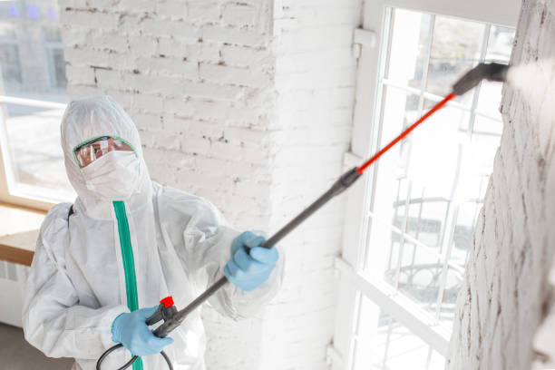  North Belle Vernon, PA Mold Removal Pros